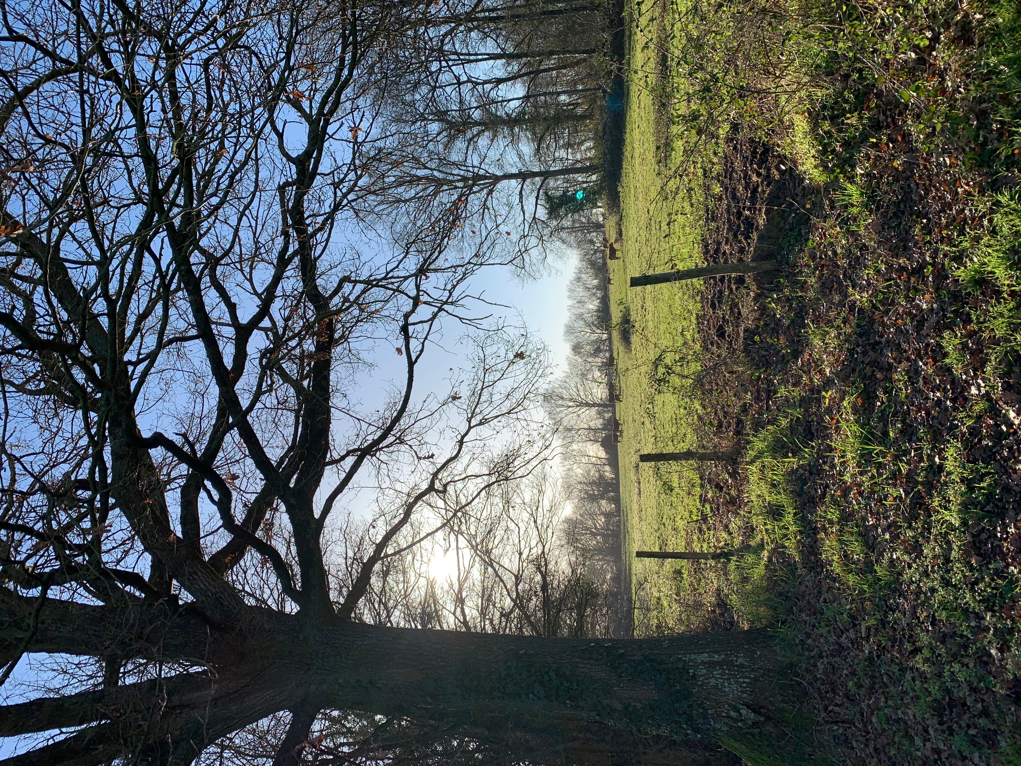 paysage
