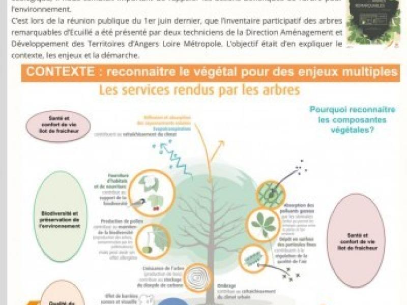 newsletter juin 2022
