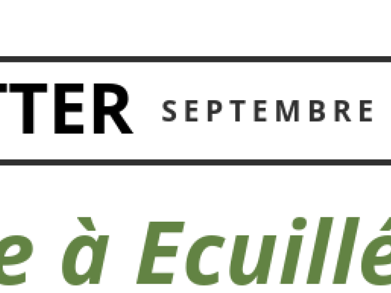 NEWSLETTER SEPTEMBRE 2024