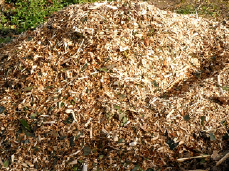 PLATEFORME DEPOT VEGETAUX -réouverture 15 juillet 2025