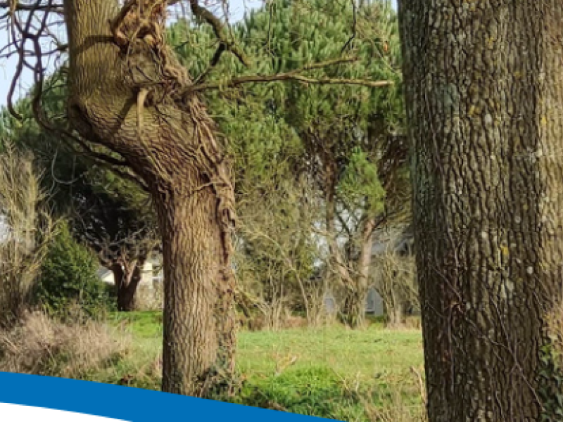 VENTE TERRAINS VIABILISES